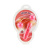 BI-014036А-0101S/ Вагинальные шарики Vibrator - balls, с пультом управления BI-014036А-0101S/ Вагинальные шарики Vibrator - balls, с пультом управления