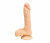 1101216 TS